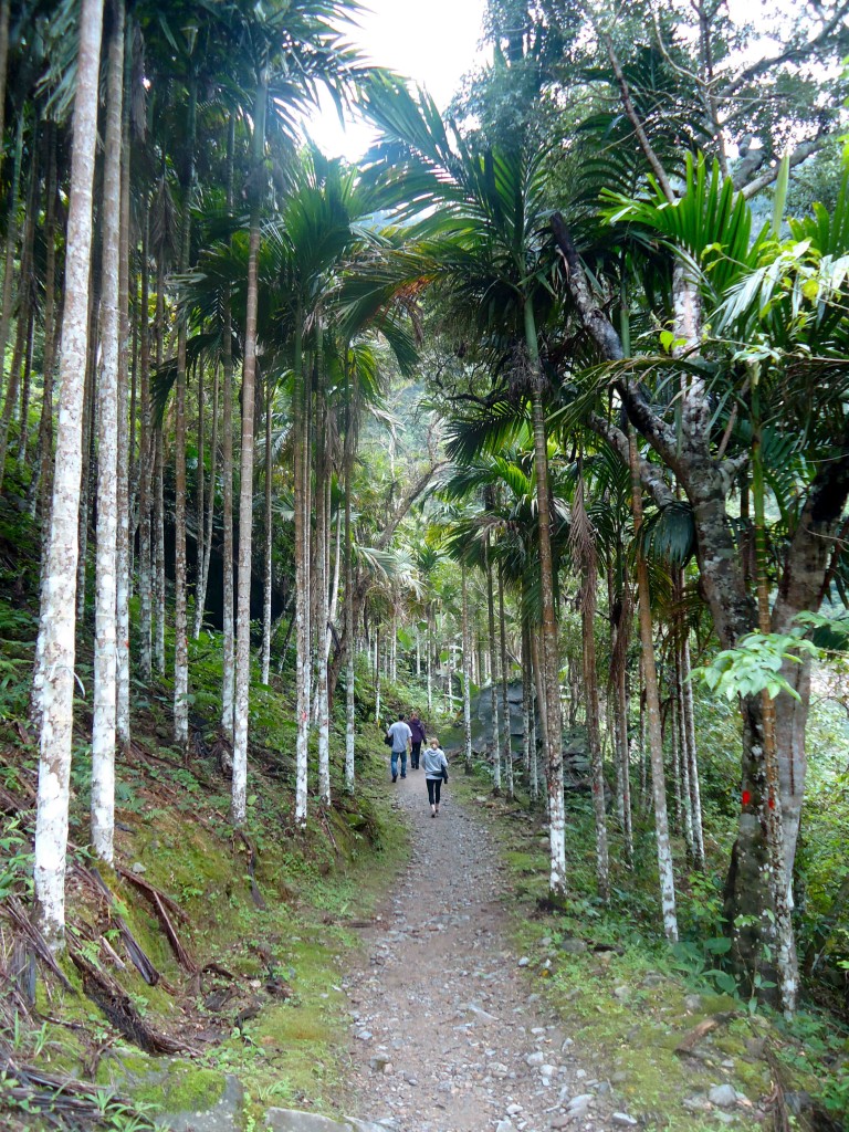 Walking in Taroko