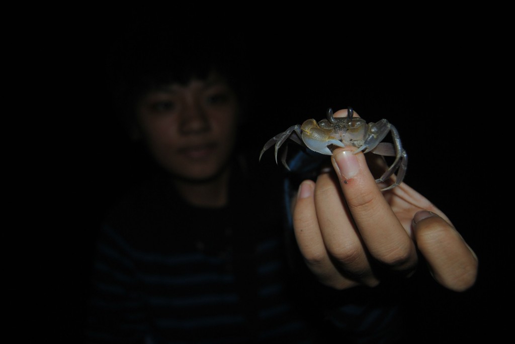 Crab at Boat Burning Festival