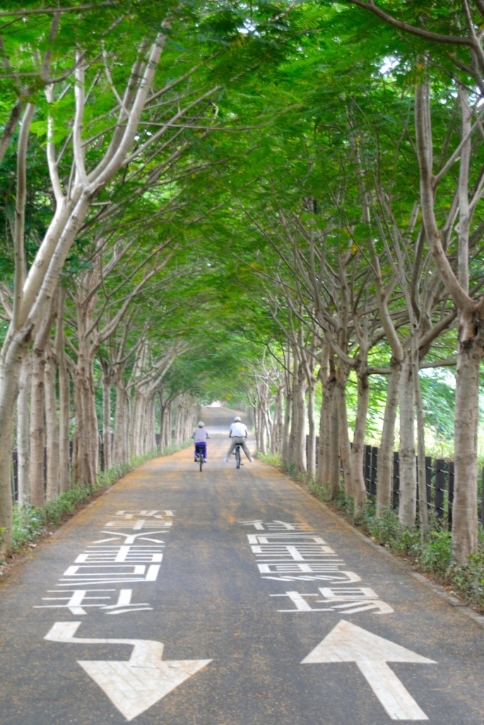Bike path Bike Path During October In Taiwan