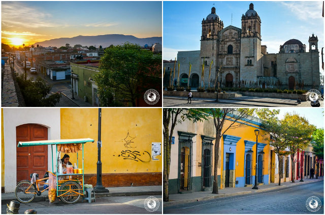 Oaxaca collage
