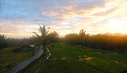 Ubud, Bali: More than just ‘Eat, Pray, Love’