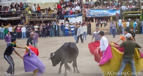 Sunday Snapshot | Bull Fight | Ecuador