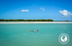 5 Reasons You Absolutely Must Visit Isla Holbox, Mexico