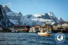 The Lofoten Islands: Paradise in the Arctic