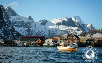 The Lofoten Islands: Paradise in the Arctic