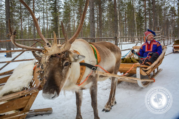 Sami Reindeer People Culture