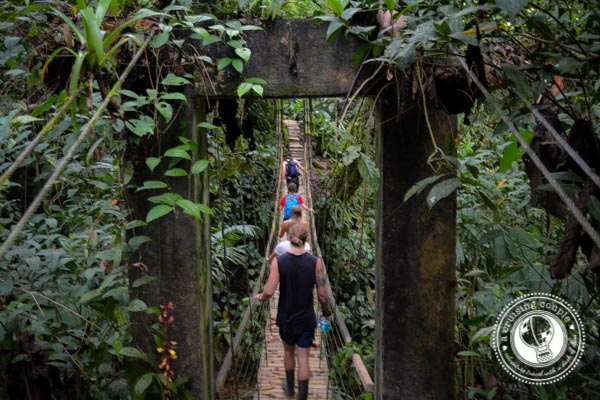 What It’s Like To Sleep In The World’s First Treehouse Community | Finca Bellevista