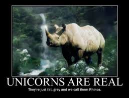 Rhino Unicorn