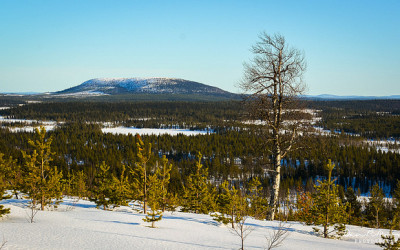 Mastering Your Light Meter for the Perfect Exposure