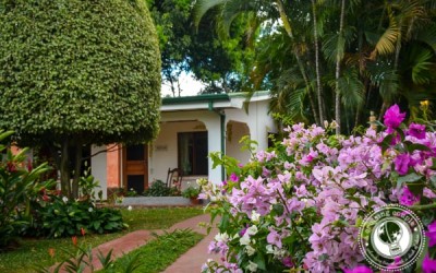 A Different Kind of Airport Hotel – Hotel La Rosa de America