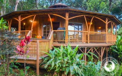 Glamping in Maui: The Ultimate Upcountry Getaway