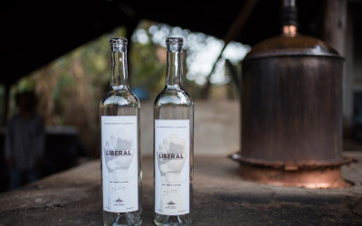 An Inside Look At The Art Of Making Mezcal—Oaxaca, Mexico