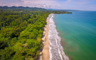 Your Complete Guide To Cahuita National Park, Costa Rica