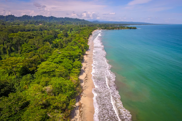 Your Complete Guide To Cahuita National Park, Costa Rica