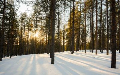 Your Last Minute Holiday Gift Giving Guide For Travelers