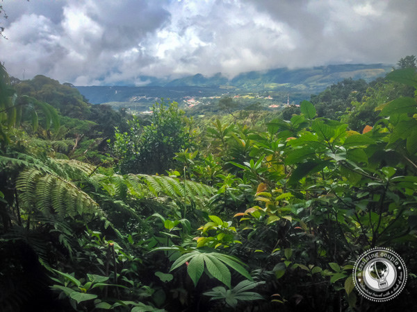 What It’s Like To Run A Marathon In The Jungle: Tackling Costa Rica’s Moon Run