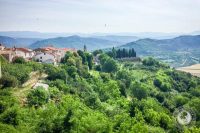 Exploring Croatian Wine Country: Four Must-Visit Wineries In Istria