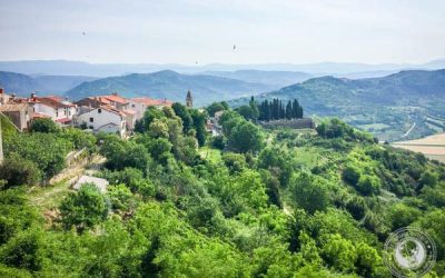 Exploring Croatian Wine Country: Four Must-Visit Wineries In Istria