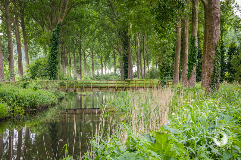 Nature In Belgium