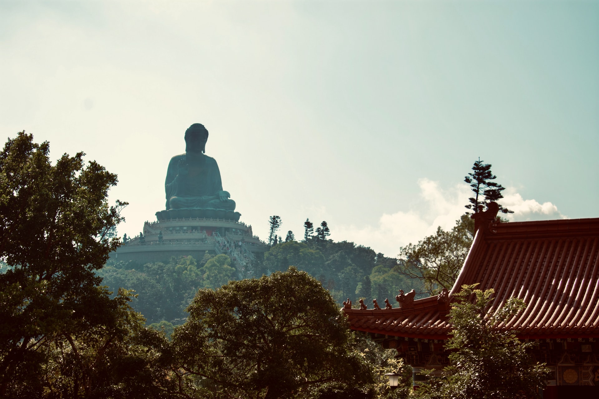 the Big Buddha in Lantau Island Hong Kong