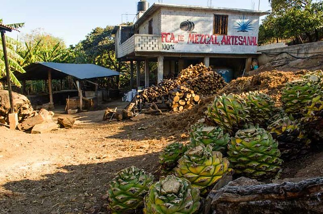 An Inside Look At The Art Of Making Mezcal