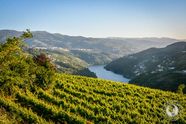 Douro Valley Portugal Road Trip