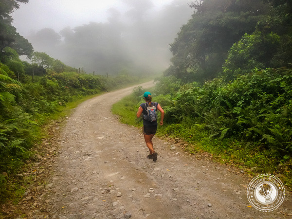 Running through the cloud forest during the Moon Run in Monteverde, Costa Rica