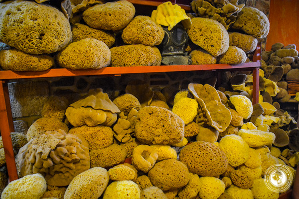 Sponges on Kalymnos Greece
