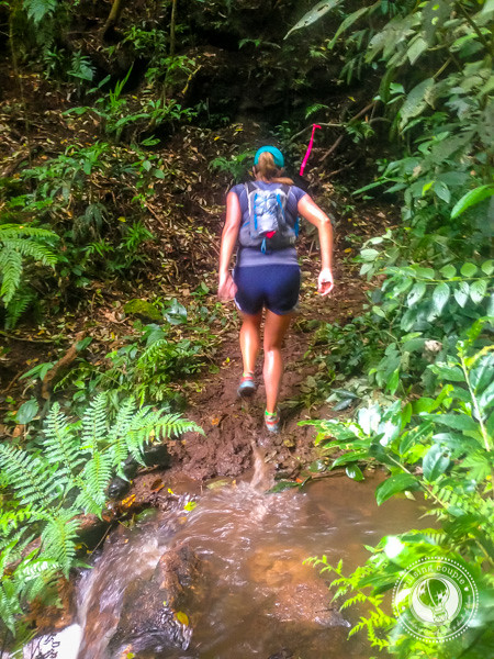 Trail during the Moon Run in Monteverde, Costa Rica