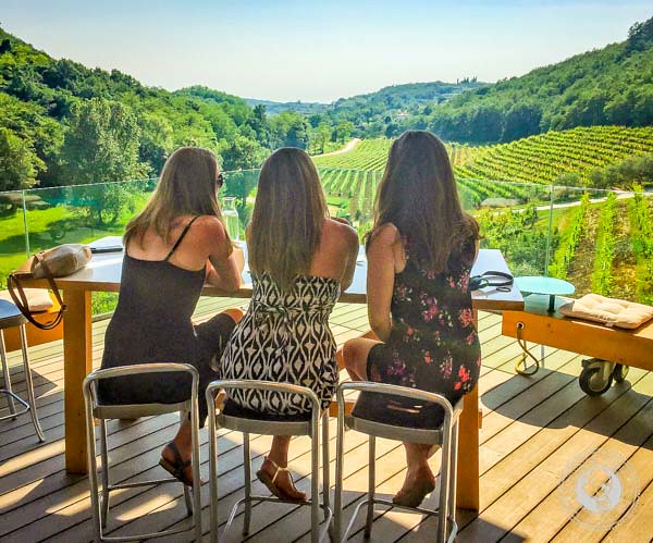 Wine Tasting In Istria With Vineyard Views