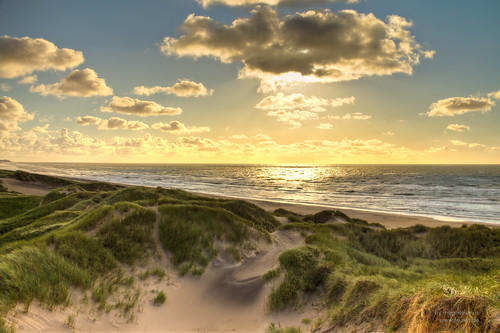 golden north sea beach, Denmark