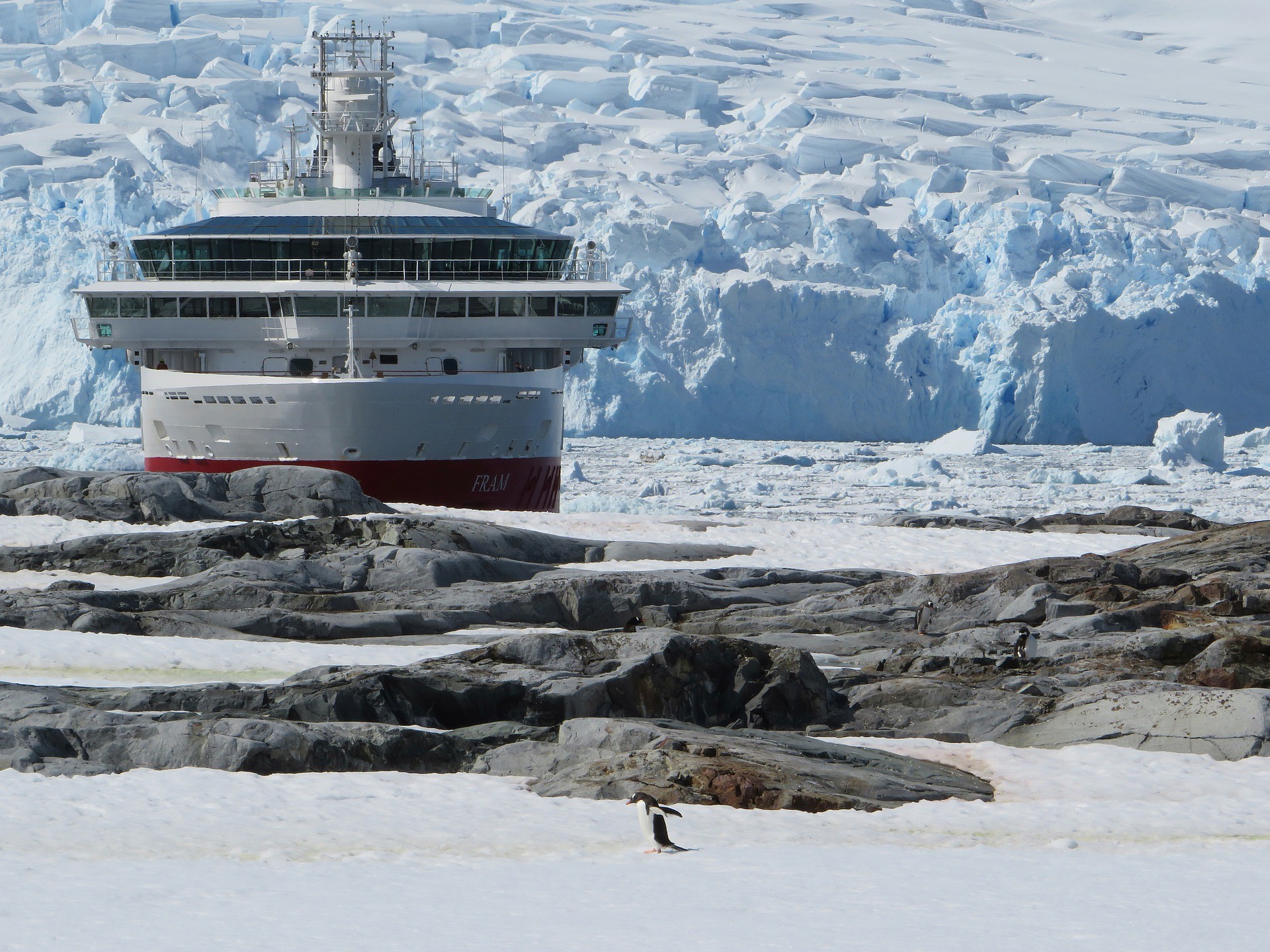 This Is the Best Cruise to Antarctica Ever!